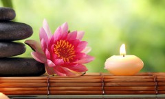 atelier méditation du 26 avril