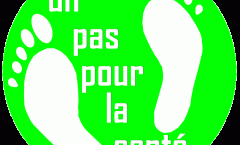 Dimanche 15 octobre : Initiation gratuite à une marche de Qi Gong de santé